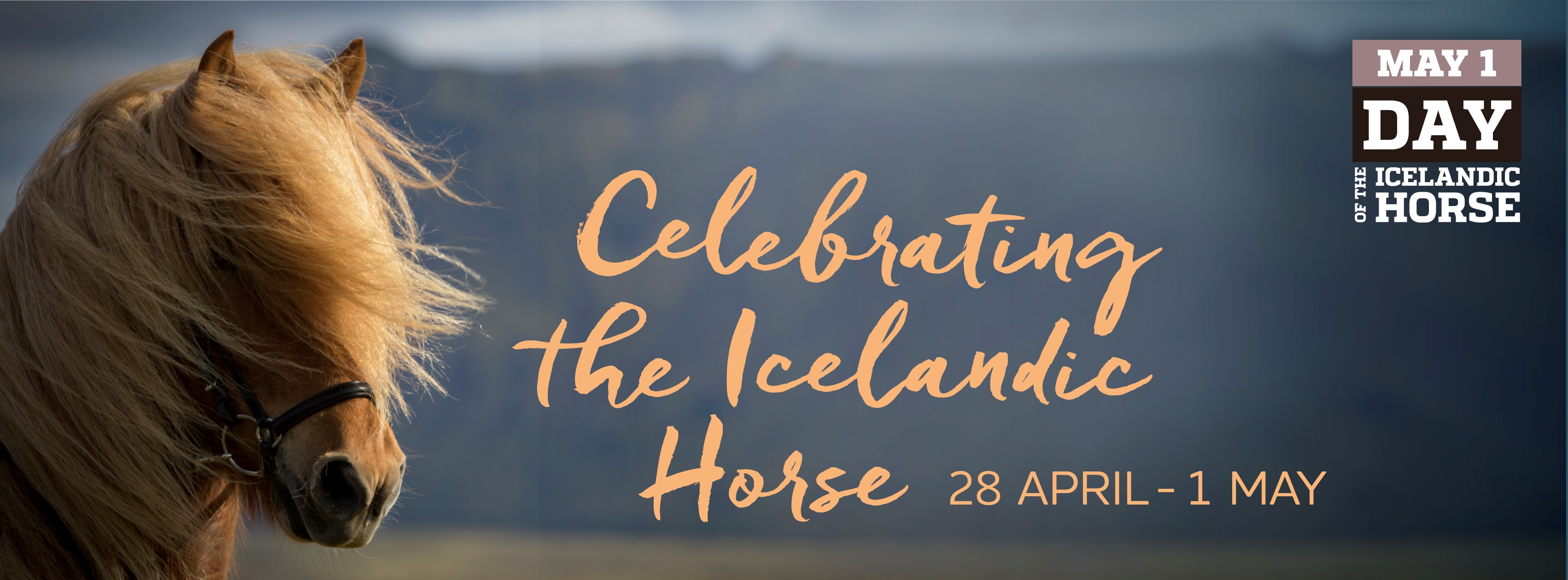 horsesoficeland