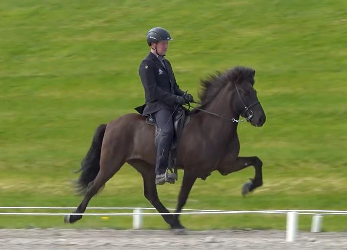 6 vetra hryssa: Hrönn frá Fákshólum, knapi Jakob Svavar Sigurðsson