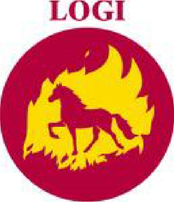 Logi Logi